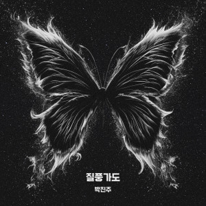 Dengarkan lagu 질풍가도 nyanyian Park Jin Ju dengan lirik