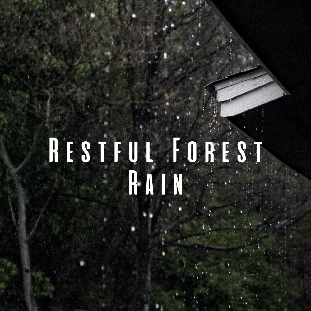 Soothing Forest Rain Lullaby