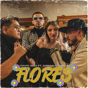 Listen to Flores song with lyrics from David Gao