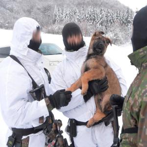 ดาวน์โหลดและฟังเพลง WITH THA PURP (Explicit) พร้อมเนื้อเพลงจาก EGOTHREAT