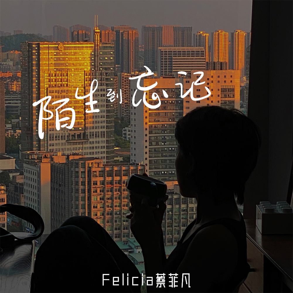 陌生到忘记 (伴奏)