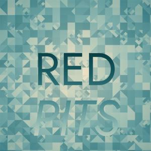 Album Red Pits from Various