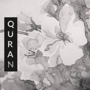 Album من اجمل التلاوات from ترتيل قرآن