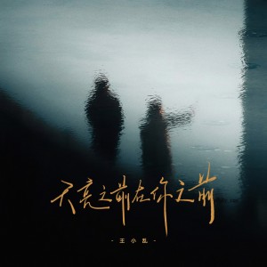 王小亂的專輯天亮之前在你之前