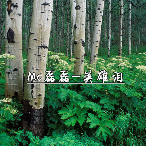 Album 英雄泪 oleh MC磊磊