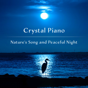 水晶钢琴 聆听大自然旋律 空灵寂静之夜