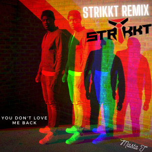 Listen to You Don't Love Me Back (Strikkt Remix) song with lyrics from Masta T