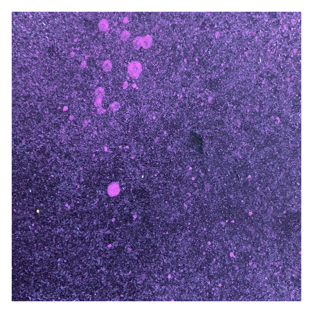 Their Amatory Encounter (Trafo Remix)