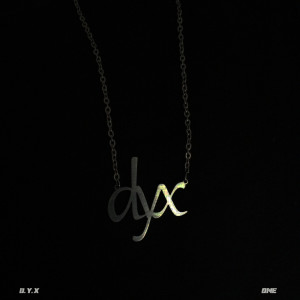 Album D.Y.X:One from Lartey Mike