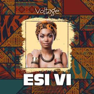 Album Esi VI from Mista Voltage