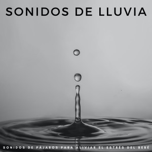 อัลบัม Sonidos De Lluvia: Sonidos De Pájaros Para Aliviar El Estrés Del Bebé ศิลปิน Sonido de lluvia ricky