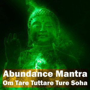 Dengarkan lagu Abundance Mantra Om Tare Tuttare Ture Soha nyanyian The Healing Project dengan lirik