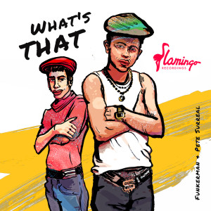 Funkerman的專輯What's that