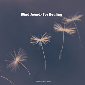收聽J.Roomy的Wind, Leaf歌詞歌曲
