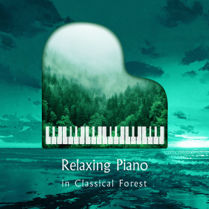 อัลบัม 钢琴 轻音乐 古典 放松疗愈自然森林 ศิลปิน 钢琴放松轻听贵族音乐