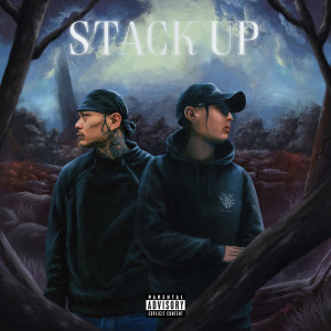 Album STACK UP (feat. JNKMN) from Luv Fvvgo