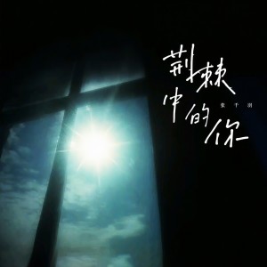 Listen to 荆棘中的你 song with lyrics from 张珊珊