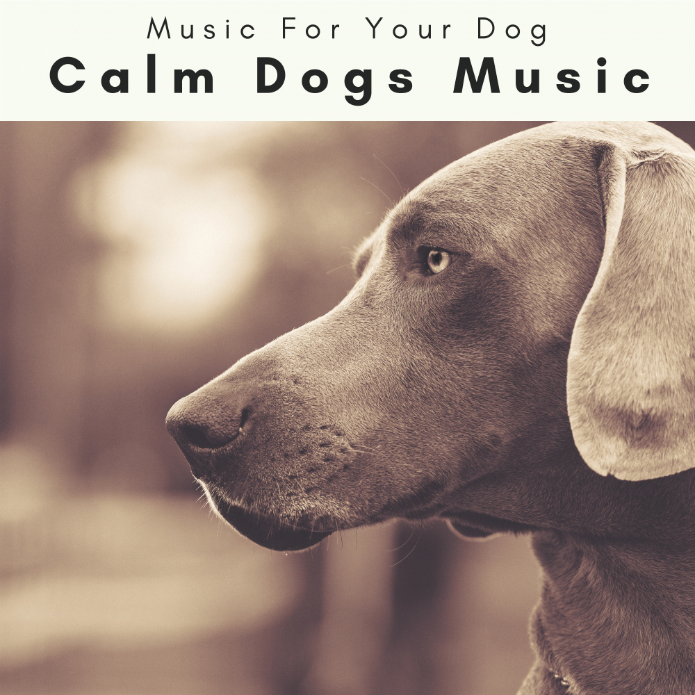 Totally Relaxed Puppies Noise