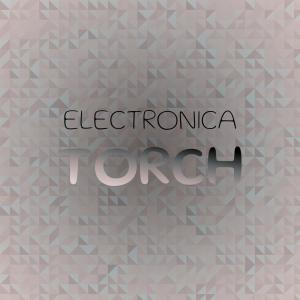 Various Artists的專輯Electronica Torch