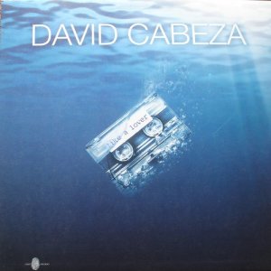 收聽David Cabeza的Like A Lover歌詞歌曲