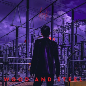 อัลบัม เหล็กกับไม้ (Wood and Steel) ศิลปิน The Pisat Band