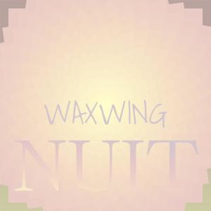 Album Waxwing Nuit oleh Various