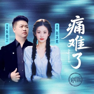 Listen to 痛难了 (对唱版伴奏) song with lyrics from 赵沫然