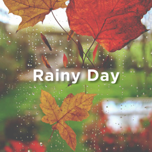 Listen to Calm Cat song with lyrics from Rain Sounds
