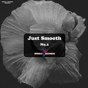 Oddxperienc的专辑Just Smooth, Vol. 1