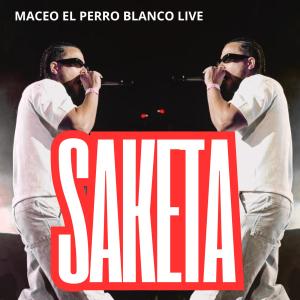 收聽maceo el perro blanco live的saketa (live)歌詞歌曲