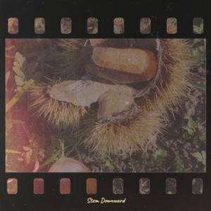 Listen to Stem Downward song with lyrics from Hares Ethy