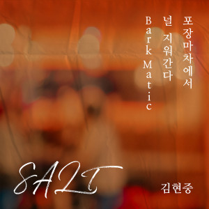อัลบัม SALT ศิลปิน Kim Hyun Joong