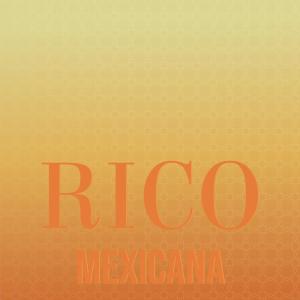 Various Artists的專輯Rico Mexicana