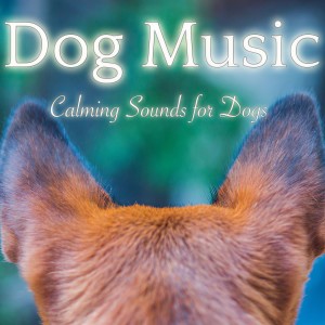 Dengarkan Help Your Dog Sleep Soundly lagu dari Dog Music Dreams dengan lirik