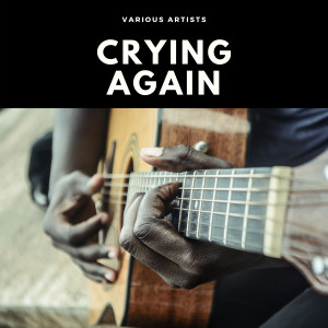 The Dorsey Brothers Orchestra的專輯Crying Again (Explicit)