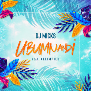 Listen to Ubumnandi song with lyrics from DJ Micks