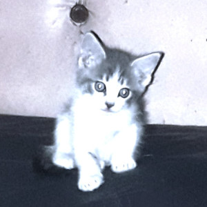 收聽Crispa的Otra Ocasion歌詞歌曲