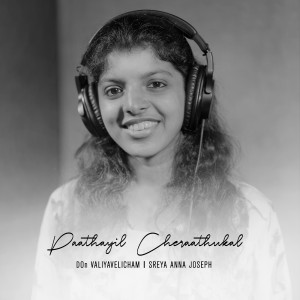 Listen to Paathayil Cheraathukal song with lyrics from Don Valiyavelicham