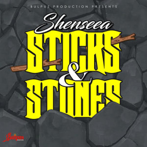 收聽Shenseea的Sticks & Stones歌詞歌曲