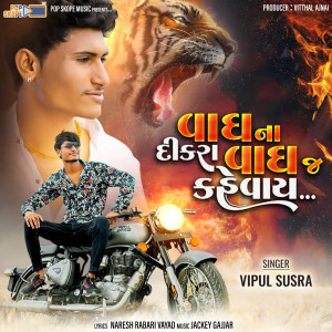 Listen to Vagh Na Dikra Vagh J Kahevay song with lyrics from Vipul Susra
