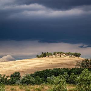 Listen to Soft Rain & Gentle Thunder song with lyrics from Nature Sounds Nature Music