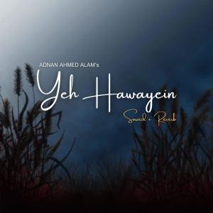 ดาวน์โหลดและฟังเพลง Yeh Hawayein พร้อมเนื้อเพลงจาก Adnan Ahmed Alam
