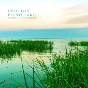 Album Calm Emotional Piano With Meditation from 
