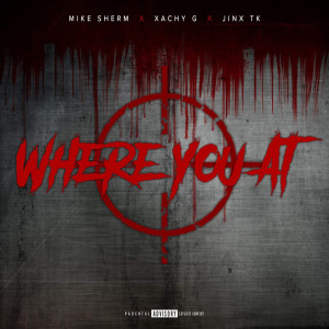 Album Where You At (Explicit) from Mike Sherm