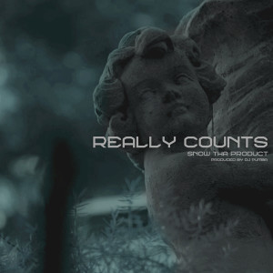 Really Counts (Explicit)