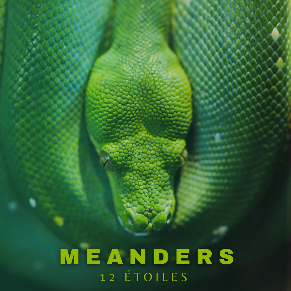 Meanders