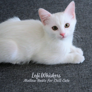 Lofi Whiskers: Mellow Beats for Chill Cats dari Relaxing Lo Fi