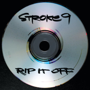 ดาวน์โหลดและฟังเพลง Lead The Way พร้อมเนื้อเพลงจาก Stroke 9