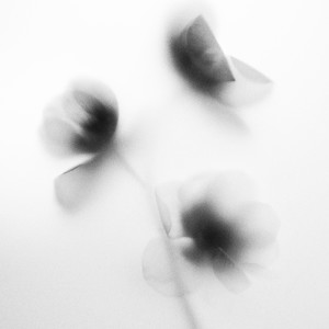 收聽METAHESH的no coincidence歌詞歌曲