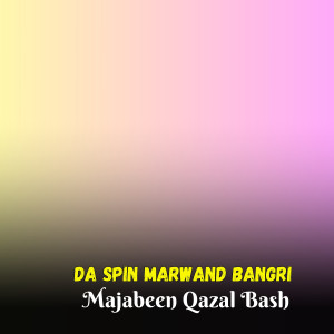 Listen to Didan Da Lari Na Kawa song with lyrics from Majabeen